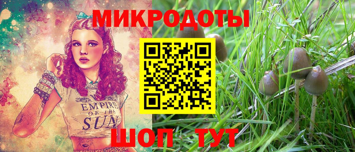 даркнет сайт  Псилоцибиновые грибы Cubensis  Галлюциногенные грибы Cubensis  Вход с VPN  Ефремов 